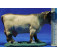 Vaca 11 cm barro pintado