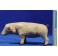 Cerdo 18 cm barro pintado Figuralia