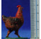 Gallina 9-10 cm plástico Belenes Puig
