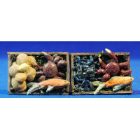 Bandeja peces 5x3 cm madera