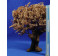 Árbol blanco 27 cm plástico Oliver