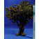 Árbol verde 27 cm plástico Oliver