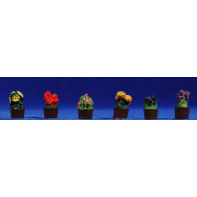 Maceta 2 cm resina