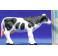 Vaca 7 cm plástico Belenes Puig Vaca 7 cm plástico Belenes Puig
