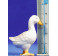 Pato 10 cm plástico Belenes Puig Pato 10 cm plástico Belenes Puig
