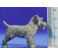 Perro shnauzer 10 cm plástico Belenes Puig Perro shnauzer 10 cm plástico Belenes Puig