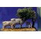 Grupo vacas y árbol 8 cm plástico Moranduzzo - Landi
