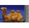 Camello sentado 6 cm plástico Moranduzzo - Landi
