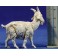 Grupo corderos y perro 10 cm plástico Moranduzzo - Landi