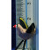 Jilguero vuela 12 cm barro pintado AB