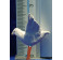 Paloma blanca vuela 12 cm barro pintado AB