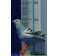 Paloma gris 12 cm barro pintado AB