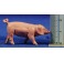 Grupo tres cerdos 6-8 cm Elastolin 47048 plástico