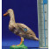 Pato marron 10 cm resina Pato marron 10 cm resina