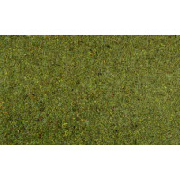 Tapíz de musgo 70x50 cm