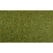 Tapíz de musgo 70x50 cm