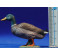 Pato color 11 cm plástico calidad
