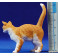 Gato 12 cm plástico calidad