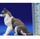 Gato sentado 12 cm plástico calidad