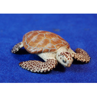 Tortuga marina 20 cm plástico calidad