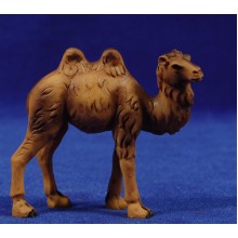 Camello 4 cm resina