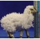 Grupo corderos con lana 12 cm resina