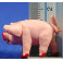 Cerdo 4 cm plástico