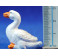Pato 12 cm resina
