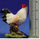 Gallo 10 cm resina