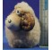 Cordero con lana infantil 20 cm barro pintado