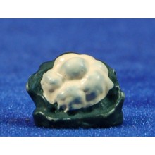 Coliflor 1,5 cm resina