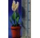 Maceta tulipas  4 cm resina