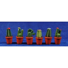 Maceta cactus 3,5 cm resina