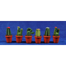 Maceta cactus 3,5 cm resina