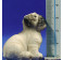 Perro crias 15 cm resina
