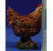 Gallina 40 cm resina