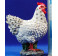 Gallina blanca 60 cm resina
