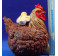 Gallina con pollitos tumbada 50 cm resina