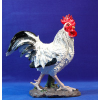 Gallo blanco 80 cm resina