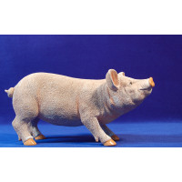 Cerdo 40 cm resina