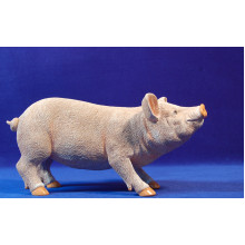 Cerdo 40 cm resina