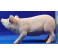 Cerdo 40 cm resina
