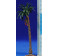 Palmera con dátiles 12 cm plástico